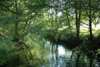 Pêcher dans l'Aubance