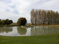 Plan d'eau Chemellier Pêche