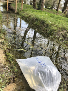 empoissonnement-trélazé-pêche-asso-2
